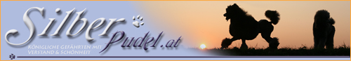 www.pudel.kcn.at